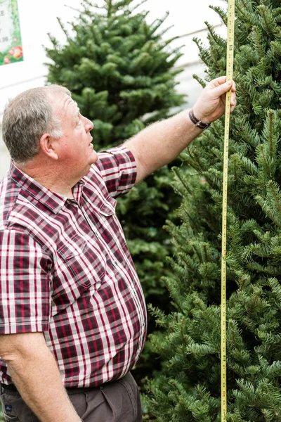 Homem árvore de Natal fazenda — Fotografia de Stock