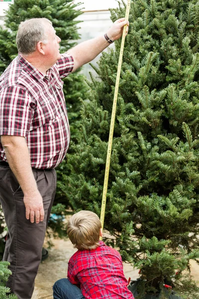 Família selecionando uma árvore para o Natal — Fotografia de Stock