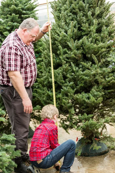 Família selecionando uma árvore para o Natal — Fotografia de Stock