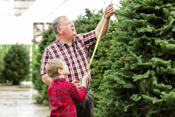 Οικογένεια επιλέγοντας ένα δέντρο για τα Χριστούγεννα — Φωτογραφία Αρχείου
