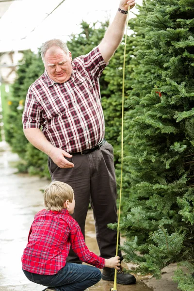 Família selecionando uma árvore para o Natal — Fotografia de Stock