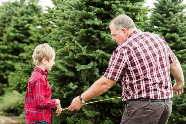 Famille sélectionnant un arbre pour Noël — Photo