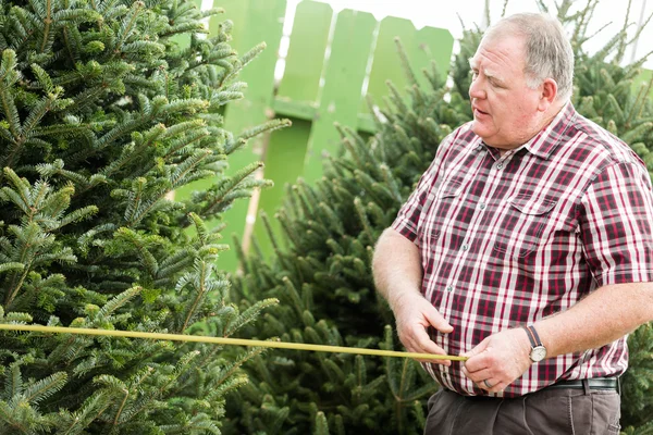 Homem árvore de Natal fazenda — Fotografia de Stock