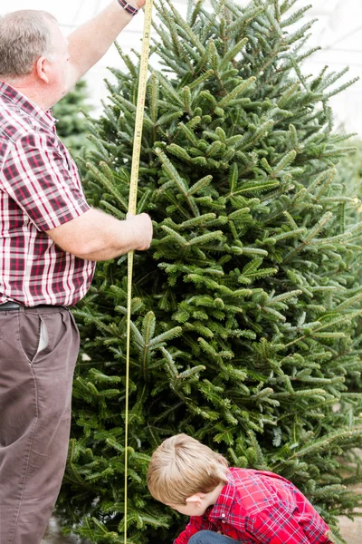 Famille sélectionnant un arbre pour Noël — Photo