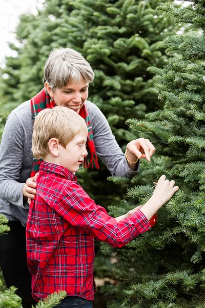 母と息子のクリスマス ツリー農園 — ストック写真