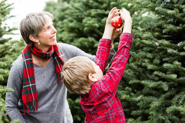 Mãe e filho fazenda árvore de Natal — Fotografia de Stock