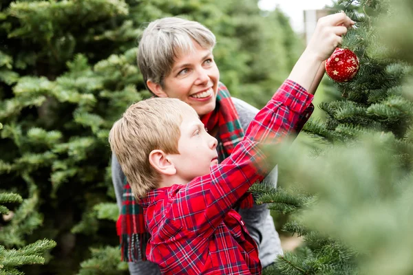 Matka a syn vánoční stromeček farmy — Stock fotografie