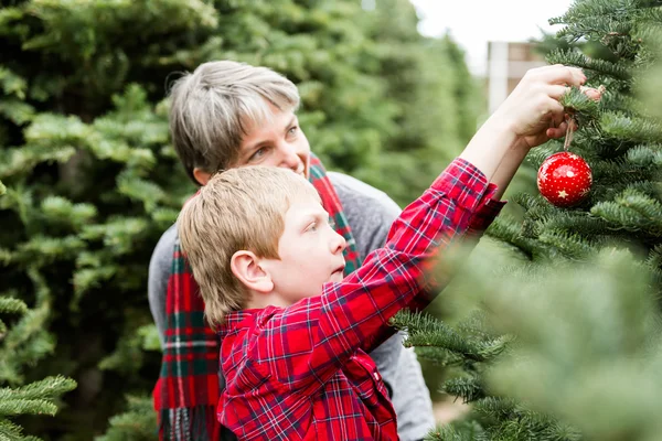 Mor och son julgran gård — Stockfoto