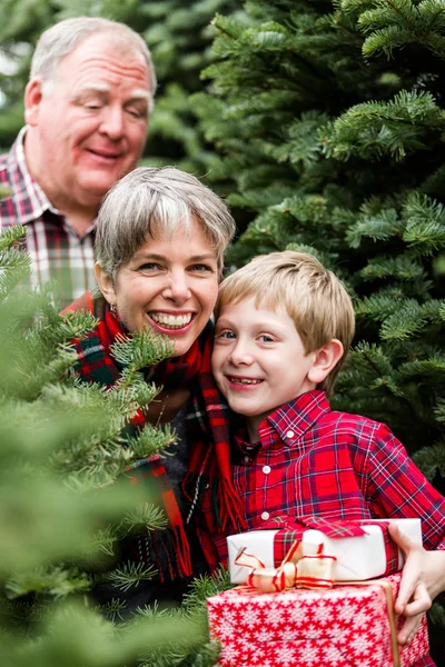 Familia en la granja de árboles de Navidad — Foto de Stock