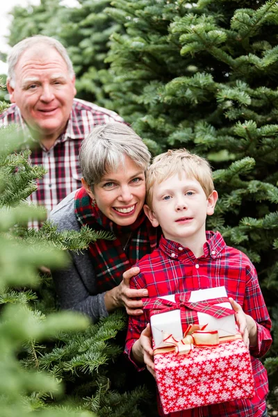 Familia en la granja de árboles de Navidad —  Fotos de Stock