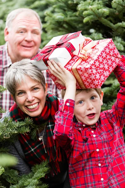 Familia en la granja de árboles de Navidad — Foto de Stock