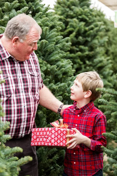 Rodina na vánoční stromeček farmy — Stock fotografie
