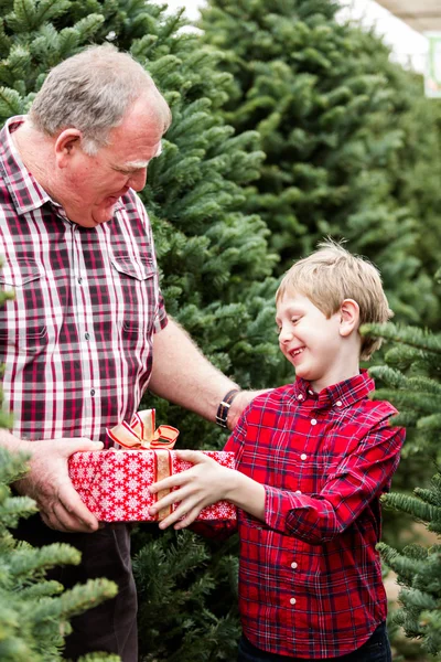 Familia en la granja de árboles de Navidad — Foto de Stock