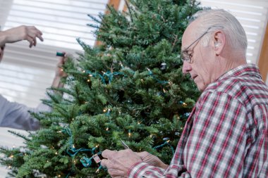 Dedesi dekorasyon Noel ağacı