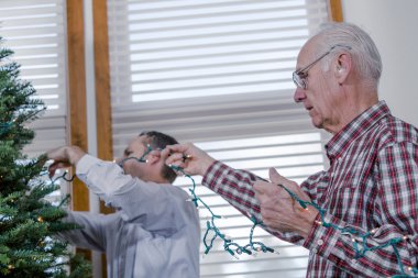 Dedesi dekorasyon Noel ağacı