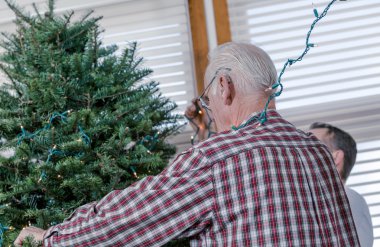 Dedesi dekorasyon Noel ağacı