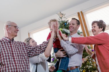 Aile dekorasyonu Noel ağacı