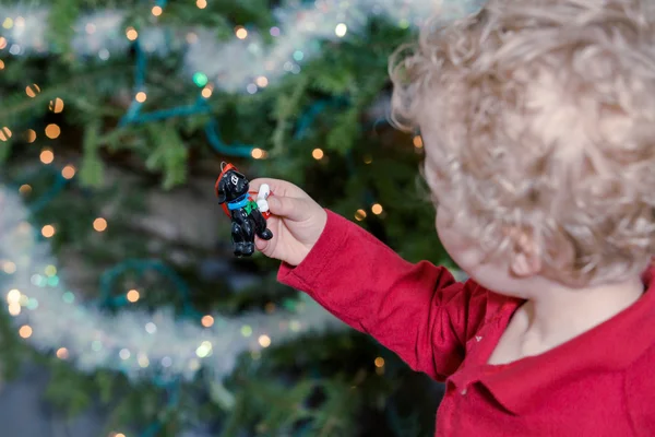 Liten pojke dekorera julgran — Stockfoto