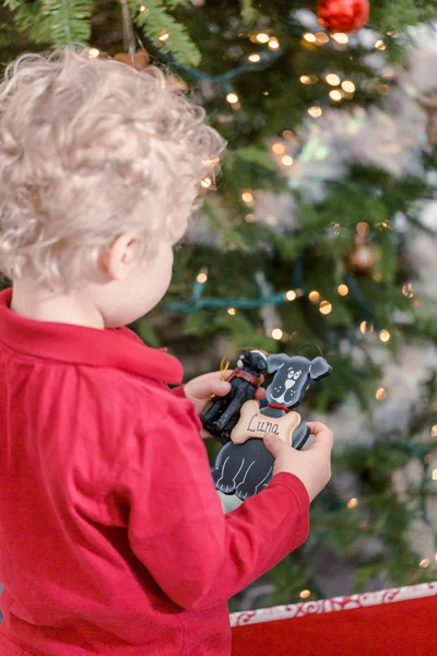 Petit garçon décorant arbre de Noël — Photo