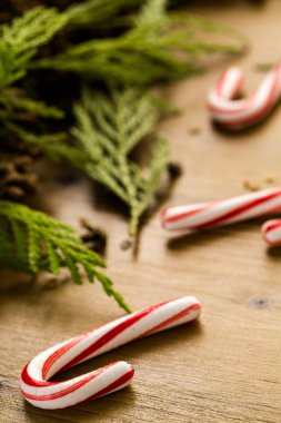 Lezzetli şeker kamışı bir sürü