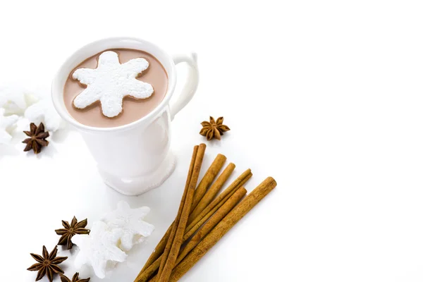 Homemade hot chocolate — Stock Photo, Image