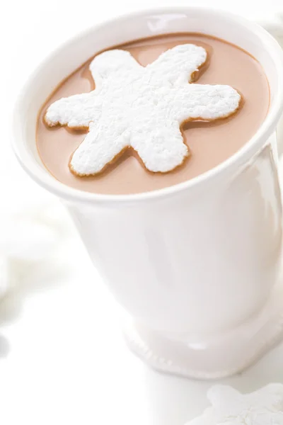 Homemade hot chocolate — Stock Photo, Image