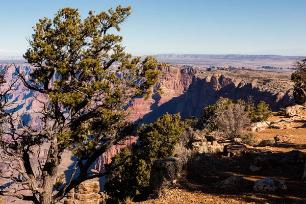 Grand Canyon bela vista — Fotografia de Stock
