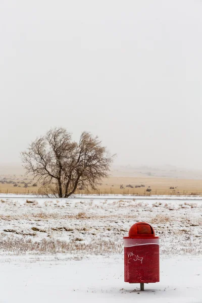 Winter storm outdoors — Stock Photo, Image