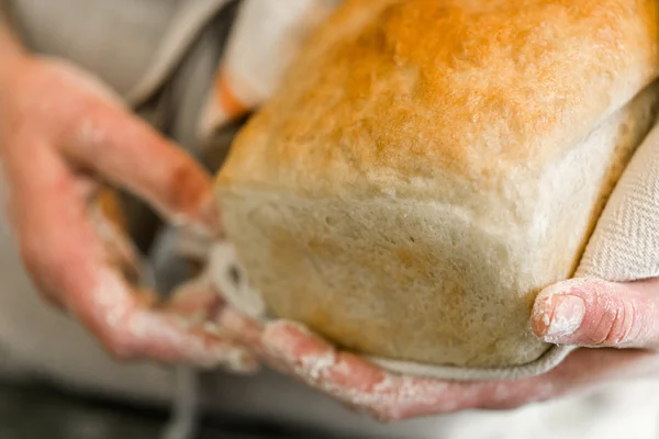 Young baker with sourdough bread — Stock Photo, Image