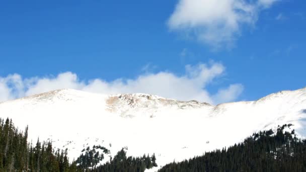 Schöne Natur im Skigebiet, colorado — Stockvideo