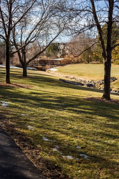 Suburban Amerikaans park — Stockfoto