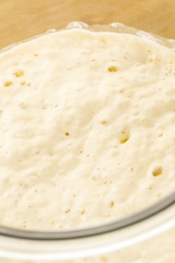 Hamur mayası başlatıcı büyük cam kavanoz içinde