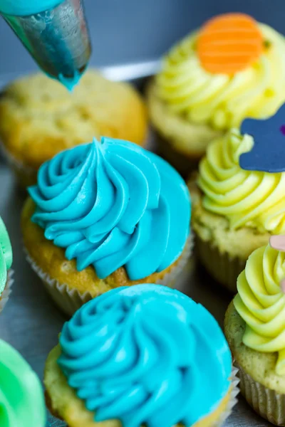 Fresh multicolored cupcakes — Stock Photo, Image