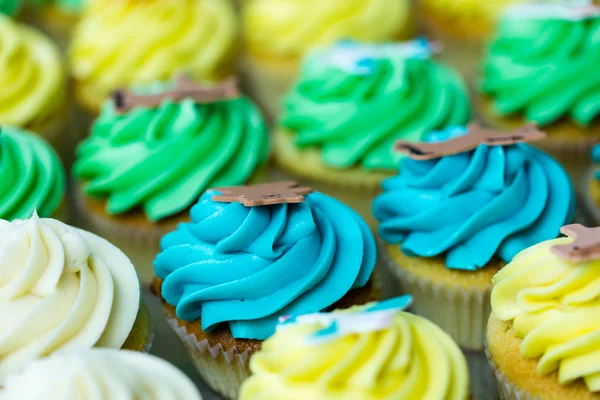 Cupcakes multicolores frais — Photo