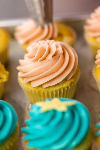 Fresh multicolored cupcakes — Stock Photo, Image