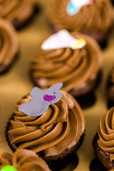 Fresh Chocolate cupcakes — Stock Photo, Image