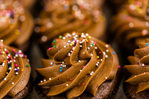 Свежие шоколадные кексы — стоковое фото