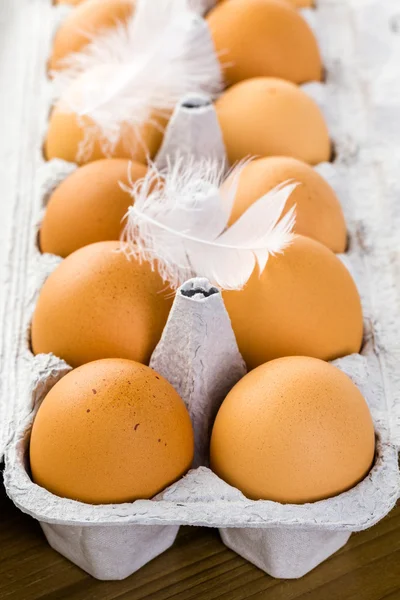 Ovos de exploração frescos — Fotografia de Stock