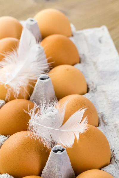 Ovos de exploração frescos — Fotografia de Stock