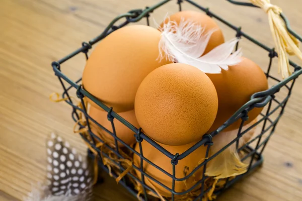 Čerstvá vejce z farmy — Stock fotografie
