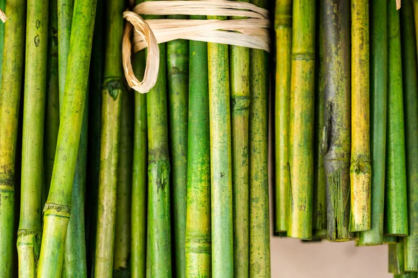 Green Bamboo sticks — Stock Photo, Image