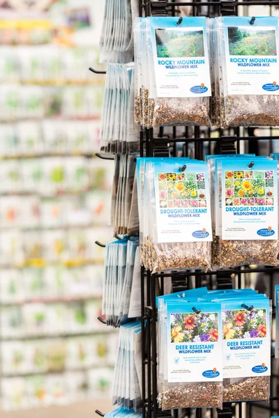 Variety of seeds in Garden center — Stock Photo, Image