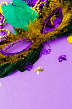 Mardi Gras partisi için çok renkli süslemeleri