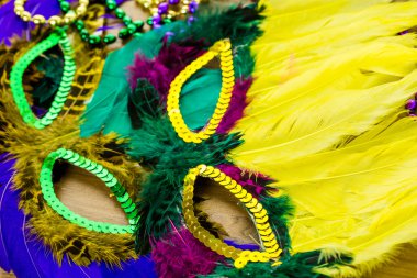 Mardi Gras partisi için çok renkli süslemeleri