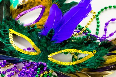 Mardi Gras partisi için çok renkli süslemeleri