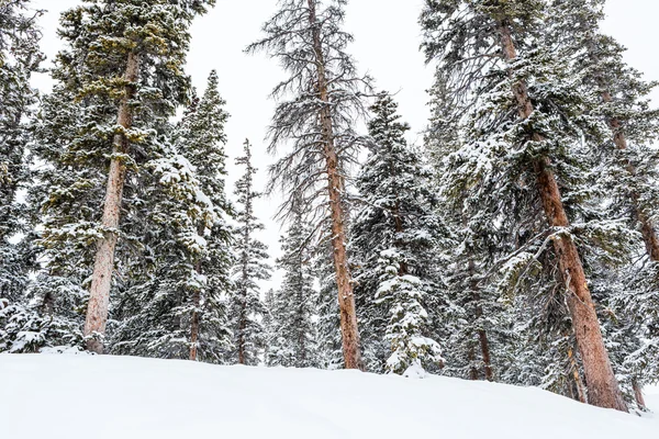 Ski resort i slutet av säsongen — Stockfoto