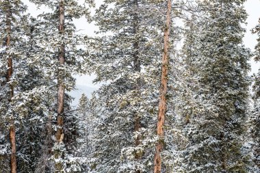 Sezon sonunda Kayak Merkezi