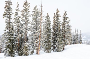 Sezon sonunda Kayak Merkezi