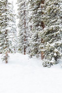 Sezon sonunda Kayak Merkezi