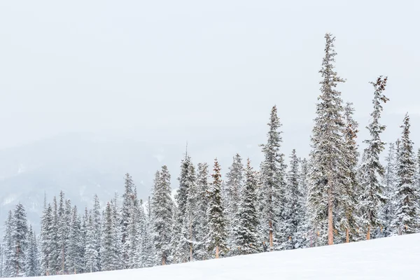 Гірськолижний курорт в кінці сезону — стокове фото